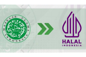 Aturan Logo Halal Indonesia Terbaru: Batas Wajib & Solusi Pelaku Usaha